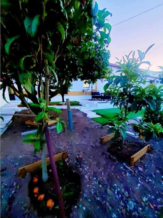Vale Covo  Casa Da Laranjeiraヴィラ エクステリア 写真