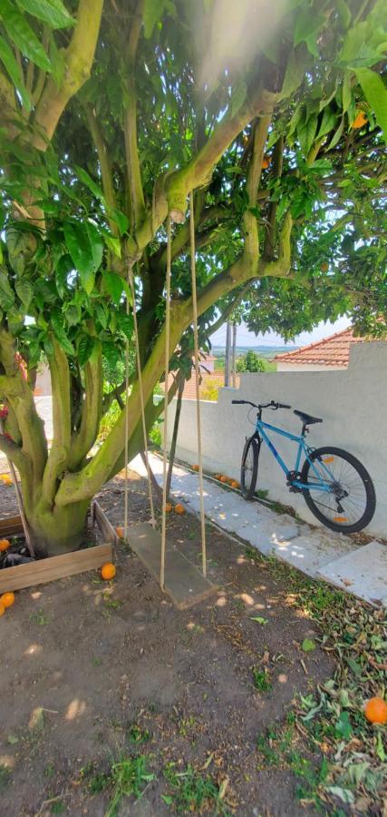 Vale Covo  Casa Da Laranjeiraヴィラ エクステリア 写真